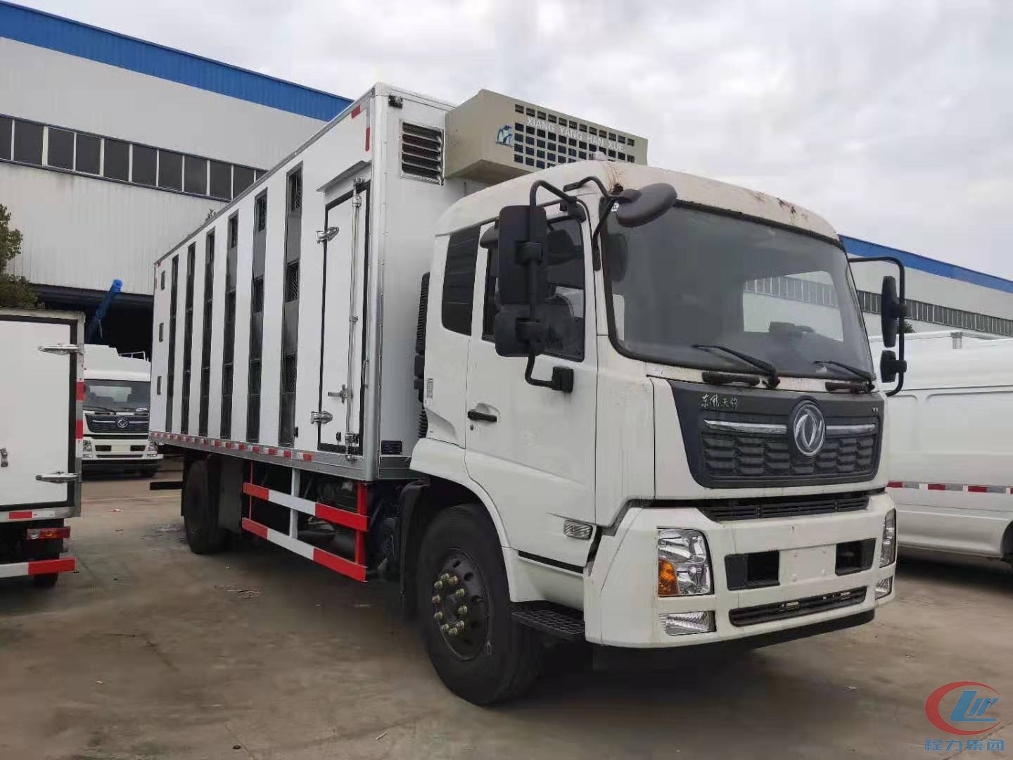 天錦VR豪華駕駛室雛禽運(yùn)輸車